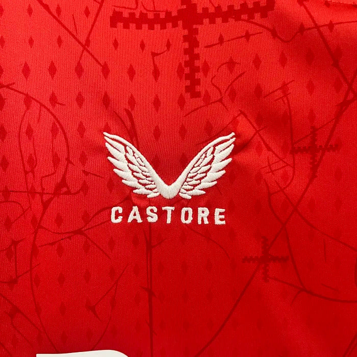 Bayer Leverkusen 2024/2025 Home Kit